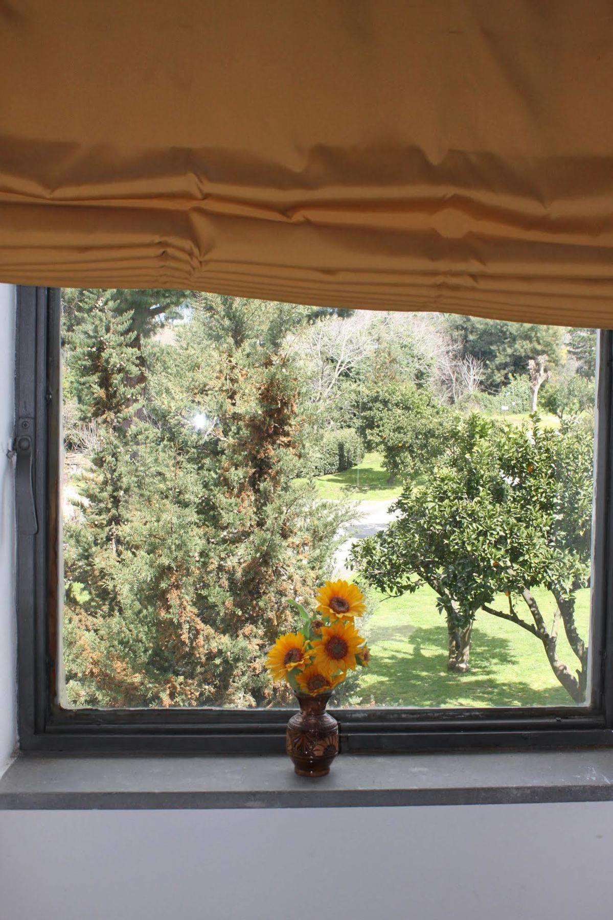 Flegrea House Pozzuoli Exterior foto